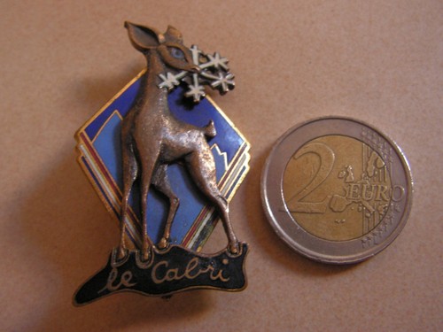 Insigne ancien ski le - ,