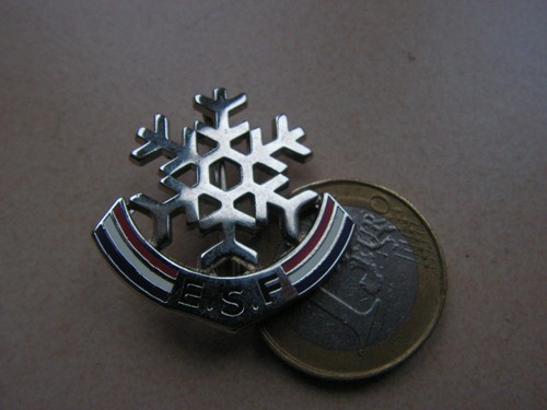Insigne ancien ski esf - ski,